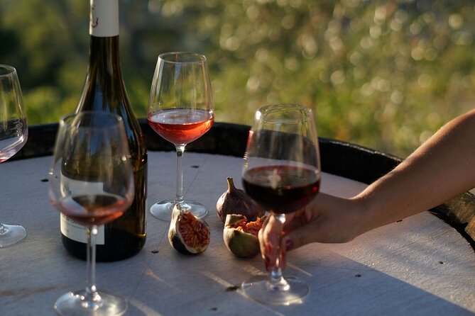 Vineyard Tour with Wine Tasting within Nice city borders - What You’ll Do in 90 Minutes (and What Each Part Gives You)