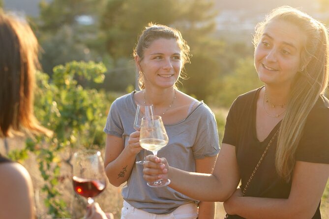 Vineyard Tour with Wine Tasting within Nice city borders - Getting There From Nice: Public Transport, Taxis, and Rideshare Reality