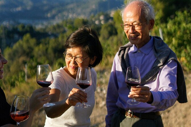Vineyard Tour with Wine Tasting within Nice city borders - Who This Tour Fits Best (and Who Might Prefer Something Else)