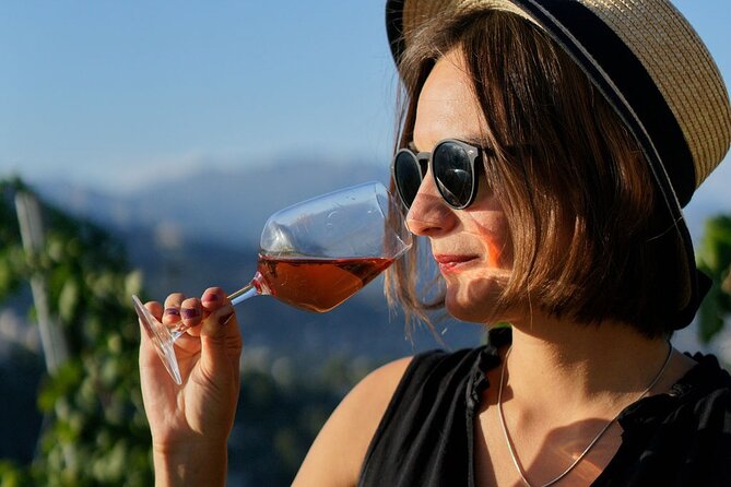 Vineyard Tour with Wine Tasting within Nice city borders - A Quick Safety Note: Confirm the Meeting Point
