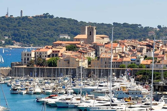 Wine Tasting, Provencal Market, Cannes and St Paul de Vence - Who This Tour Suits Best